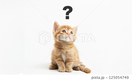 cat_background_075 125054749