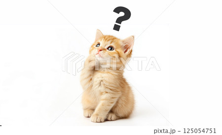 cat_background_077 125054751