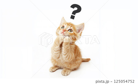 cat_background_078 125054752