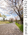 桜の花が落ちた道 125054762