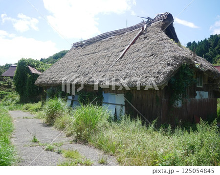 屋根を笹の葉で葺いた笹ぶき屋根の民家　京都府宮津市上世屋　 125054845