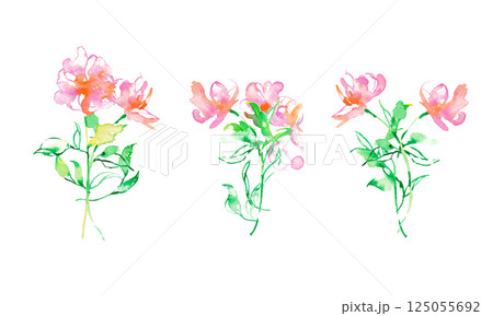 水彩画。水彩タッチのベクターピンクの花イラスト。草木のベクターイラスト。花の切り取りセット。 125055692