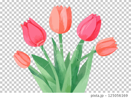 水彩で描いたチューリップのイラスト　生成AI 125056169