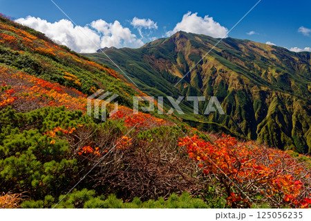 飯豊連峰・主稜線縦走路の紅葉と大日岳 飯豊連峰・主稜線縦走路の紅葉と大日岳 125056235