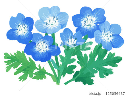 ネモフィラの水彩風イラスト　生成AI 125056487