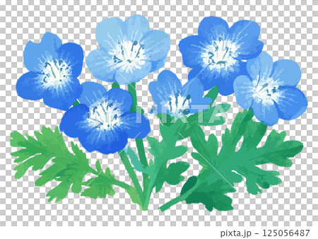 ネモフィラの水彩風イラスト　生成AI 125056487