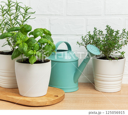 Aromatic herbs growing in pots with watering can on wooden table Aromatic herbs growing in pots with watering can on wooden table 125056915