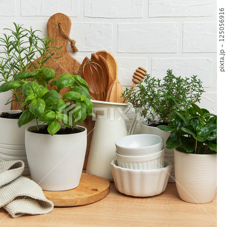 Fresh herbs growing in pots, kitchen utensils, and white crockery creating a cozy kitchen atmosphere 125056916