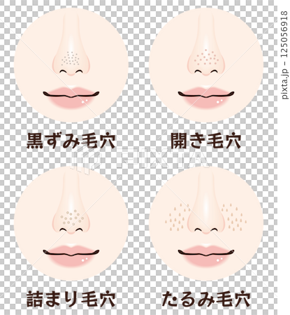 鼻の毛穴トラブル4種類セット|黒ずみ・開き・詰まり・たるみ毛穴の鼻アップ素材 鼻の毛穴トラブル4種類セット|黒ずみ・開き・詰まり・たるみ毛穴の鼻アップ素材 125056918
