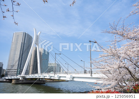東京　桜と隅田川沿いの高層マンション群 125056951