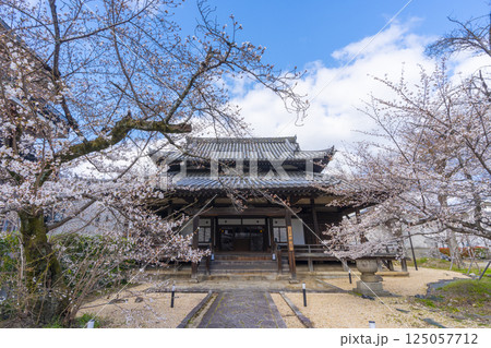 京都　立本寺　宿坊「四神閣」と満開の桜 125057712