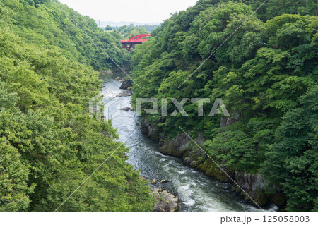渡良瀬渓谷の高津戸峡/はねたき橋から見る景色/群馬県みどり市大間々 渡良瀬渓谷の高津戸峡/はねたき橋から見る景色/群馬県みどり市大間々 125058003