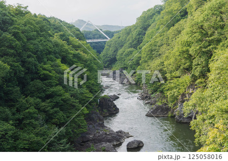 渡良瀬渓谷の高津戸峡/高津戸橋から見るはねたき橋と川/群馬県みどり市大間々 渡良瀬渓谷の高津戸峡/高津戸橋から見るはねたき橋と川/群馬県みどり市大間々 125058016