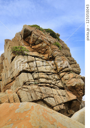 徳之島ムシロ瀬（鹿児島県） 125058043