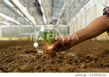 Farmer holding young seeding with with digital smart farming interface 125058210