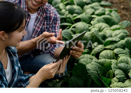Male and female farmers working together in a greenhouse, using a digital tablet to monitor crop data Male and female farmers working together in a greenhouse, using a digital tablet to monitor crop data 125058245