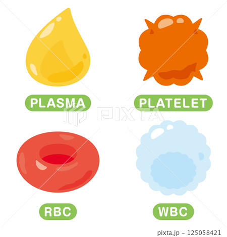 血液に含まれる細胞のイラストセット　英語 125058421