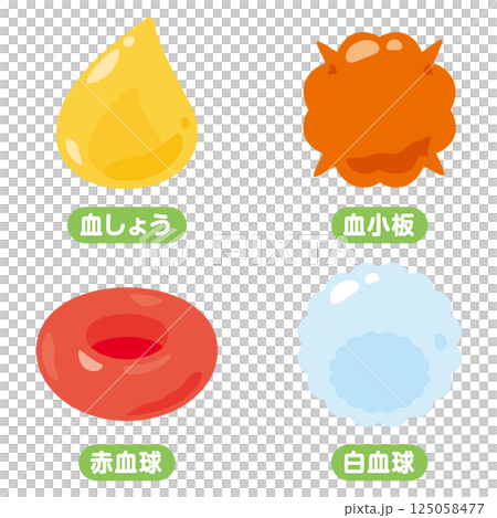 血液に含まれる細胞のイラストセット　日本語 125058477