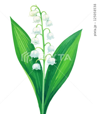 スズランの水彩風イラスト　生成AI 125058538