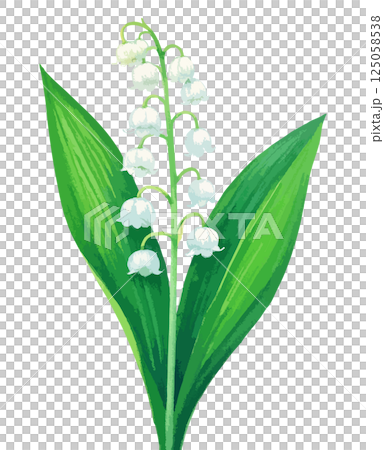 スズランの水彩風イラスト　生成AI 125058538