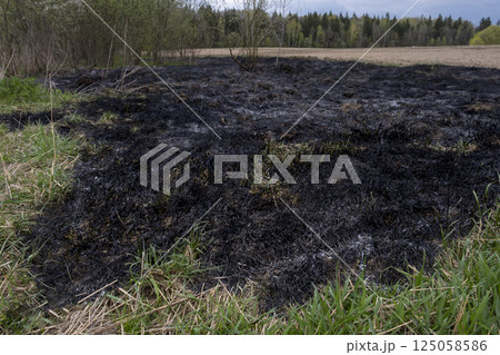 Forest and field fire. Dry grass burns, natural disaster. Burning and ash. 125058586