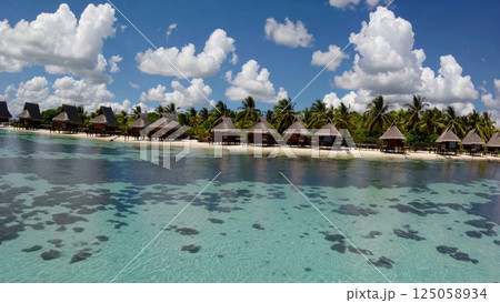 Turquoise waters caressing pristine shoreline, revealing luxurious overwater bungalows surrounded by swaying palms beneath cloudless tropical horizon 125058934