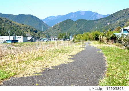 春の田舎道 125058984