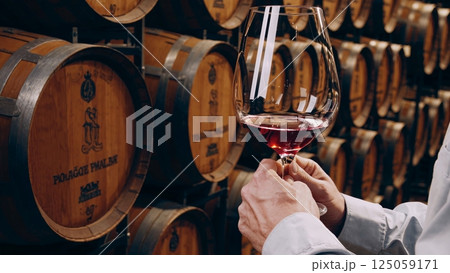 Skilled sommelier swirling red wine, evaluating color and clarity near aging oak barrels in dimly lit winery cellar, highlighting wine expertise Skilled sommelier swirling red wine, evaluating color and clarity near aging oak barrels in dimly lit winery cellar, highlighting wine expertise 125059171