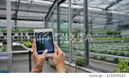 Agricultural professional checking tablet while standing in high tech greenhouse, managing crop growth through digital monitoring systems 125059242
