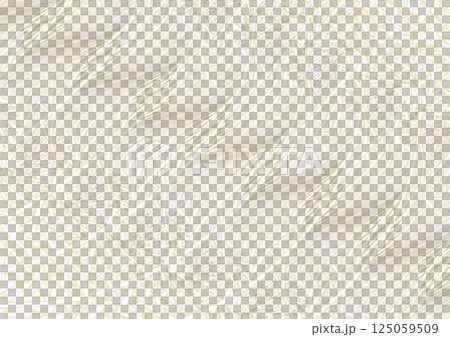 背景材料-光紋- 125059509