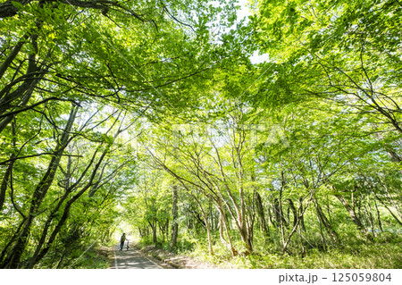 新緑・初夏のサイクリングイメージ (蒜山高原) 新緑・初夏のサイクリングイメージ (蒜山高原) 125059804