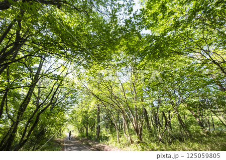 新緑・初夏のサイクリングイメージ　（蒜山高原） 125059805