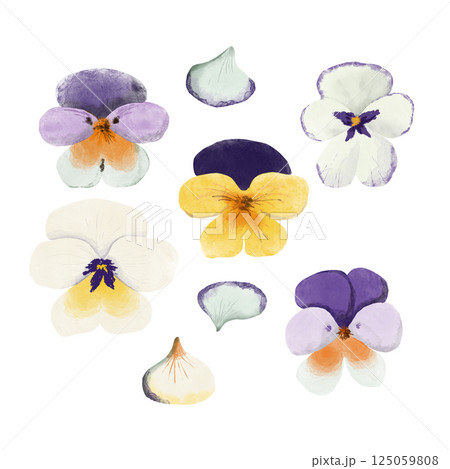 Seamless floral pattern with hand-drawn viola (pansy) flowers and petals. Watercolor texture, raster graphic. Yellow, purple, cream, and orange colors. Ideal for fabric, wallpaper, and packaging 125059808