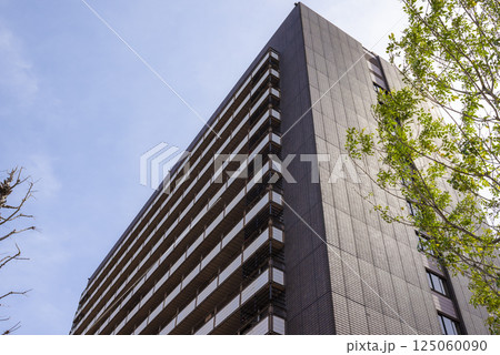 熊本市役所の外観 熊本市役所の外観 125060090