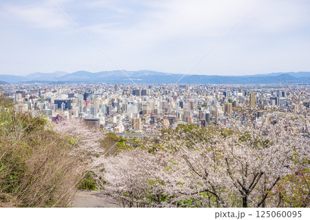 桜咲く花岡山公園から望む熊本市街地 桜咲く花岡山公園から望む熊本市街地 125060095