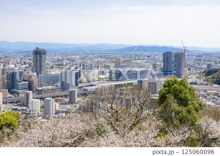桜越しに望む熊本駅周辺の街並み 桜越しに望む熊本駅周辺の街並み 125060096