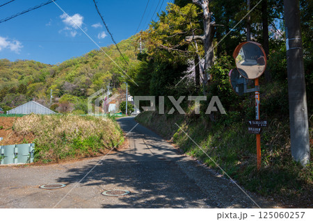 弘法山公園への田舎道 鶴巻 北矢名 弘法山公園への田舎道 鶴巻 北矢名 125060257