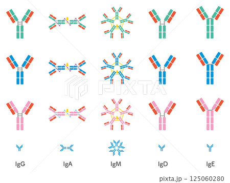 5種類の抗体色違いセット（＋シンプルバージョン） 125060280