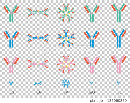 5種類の抗体色違いセット（＋シンプルバージョン） 125060280