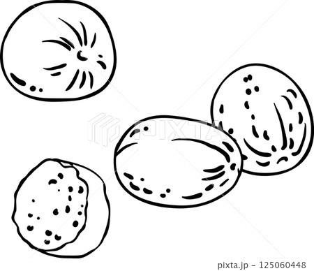 Nutmeg Nuts Outline Illustration. Nutmeg Nuts Outline Illustration. 125060448