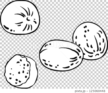 Nutmeg Nuts Outline Illustration. Nutmeg Nuts Outline Illustration. 125060448