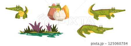 Funny Green Crocodile or Gator Animal in Different Activity Vector Set 125060784