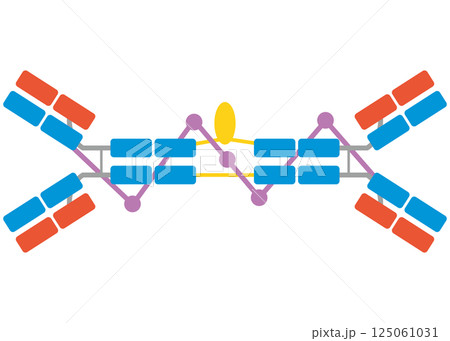 免疫グロブリンA (IgA)のイラスト（単品） 125061031