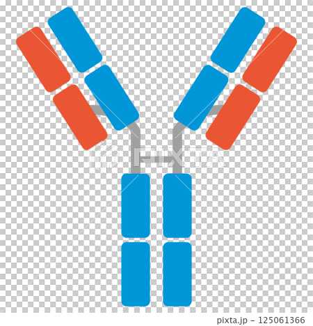 Immunoglobulin D (IgD) illustration (single item) 125061366
