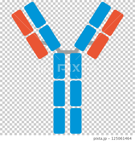 Immunoglobulin E (IgE) illustration (single item) 125061464