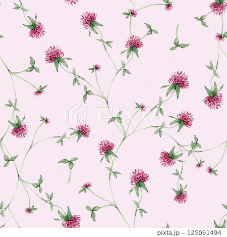 Seamless pattern with watercolor hand drawn botanical illustration with meadow wild plant red clover (trifolium). Repeat wallpaper with purple flowers and leaves isolated on white background. 125061494
