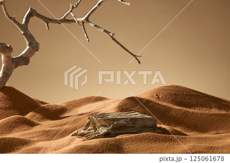 Rough piece of wood with ridges running all over it. The edges of wood worn away over time. Undulating sand dunes form hills. Arid tree with roots deep in the desert sand, bare and leafless. 125061678