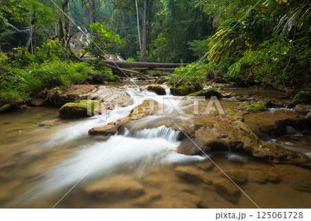 Clear water cascades over mossy rocks in a lush green forest, creating a peaceful scene of a natural stream flowing gently through the jungle. 125061728