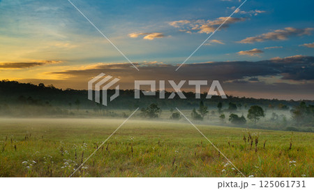 A misty field at dawn with soft light illuminating the grass and trees under a dramatic sky, creating a peaceful and atmospheric morning landscape. A misty field at dawn with soft light illuminating the grass and trees under a dramatic sky, creating a peaceful and atmospheric morning landscape. 125061731