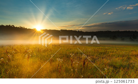 Golden sunrise over a misty meadow with wildflowers and soft light rays, creating a peaceful and dreamy natural landscape. 125061733
